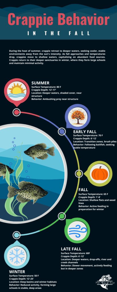 An infographic showing crappie behavior during the different phases of fall.