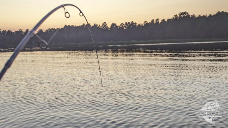 Image displaying the fishing rod action while catching a crappie.