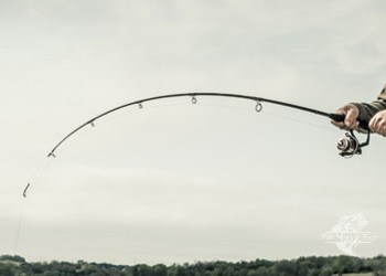 The image captures a composite fishing rod deeply bent in a curve, demonstrating its flexibility and strength, likely under the weight of a catch. A person's hands are visible holding the rod, with a focus on the action of the rod rather than the angler or the environment. The background is a muted, overcast sky with a hint of a tree-lined horizon, suggesting an overcast day suitable for fishing.