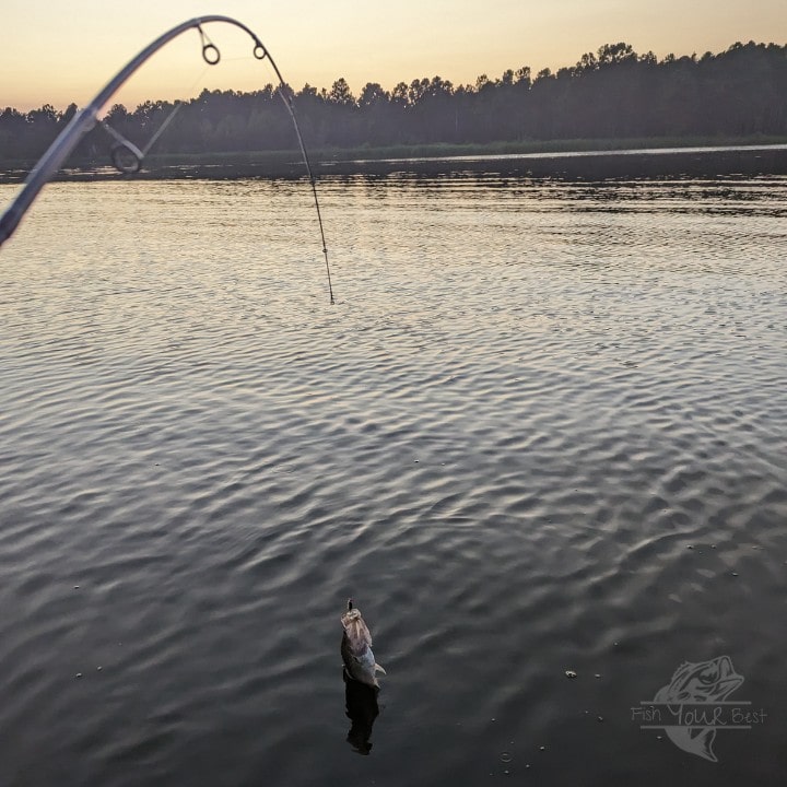 The image captures the moment a fish is caught, with the curved fishing rod's tip in the foreground and the line extending towards a small fish at the water's surface. The scene takes place at dusk, with the fading light casting a serene glow over the rippling water. Trees line the far shore under a dusky sky, completing this quintessential fishing moment.