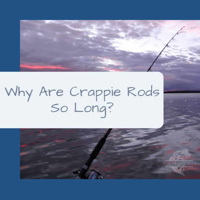 This is a promotional image featuring the question 'Why Are Crappie Rods So Long?' in bold text against a semi-transparent white rectangle. The background shows a peaceful fishing scene at twilight with a fishing rod tip bending into the frame from the top right corner and the lower part of another rod with a reel in the foreground. The sky has hues of purple and pink from the setting sun, reflecting over the calm water surface.