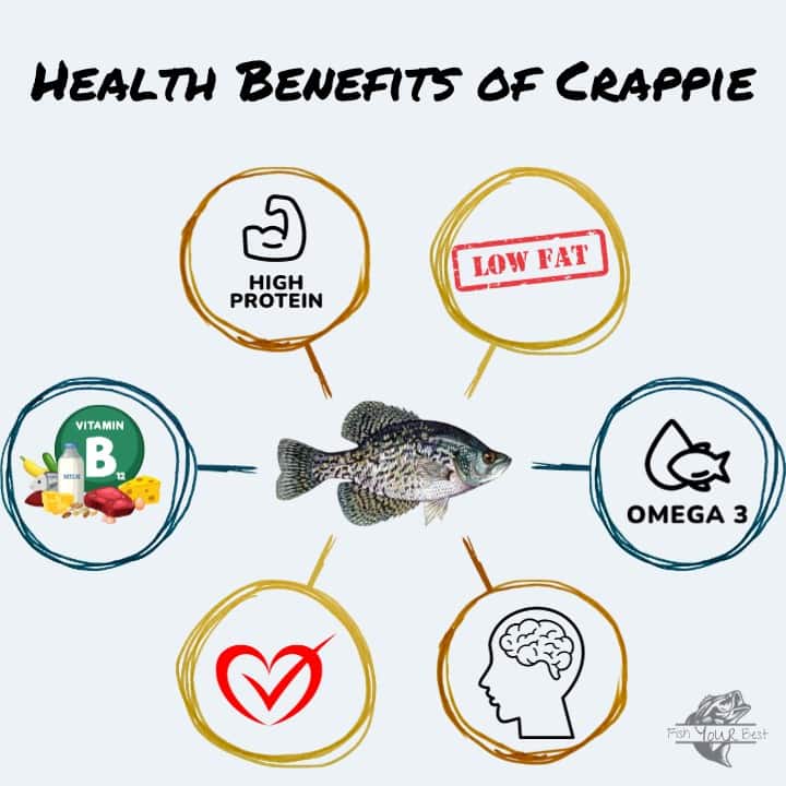 An infographic illustrating the health benefits of crappie, with a central image of a black crappie surrounded by six circular icons connected by lines. The icons represent high protein, low fat, omega-3 fatty acids, vitamin B12, heart health, and brain health, each reinforcing crappie's nutritional value.