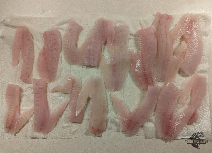 An array of freshly filleted crappie laid out on a paper towel. The fillets are clean, with a pale pink hue and exhibit the fine texture characteristic of crappie meat, ready for cooking. The paper towel underneath the fillets indicates that they are being patted dry, a common practice to prepare fish for seasoning or cooking.