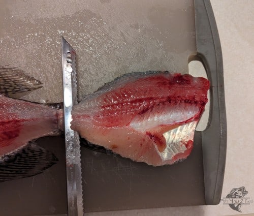 A crappie fillet is partially separated from the skin, showcasing very little red meat, indicative of the clean taste that makes it one of the best tasting freshwater fish. The electric fillet knife is in mid-motion, skillfully used to ensure the majority of the white meat is retained for cooking crappie. The image captures a crucial step in preparing a crappie fillet, ready to be cooked to perfection.